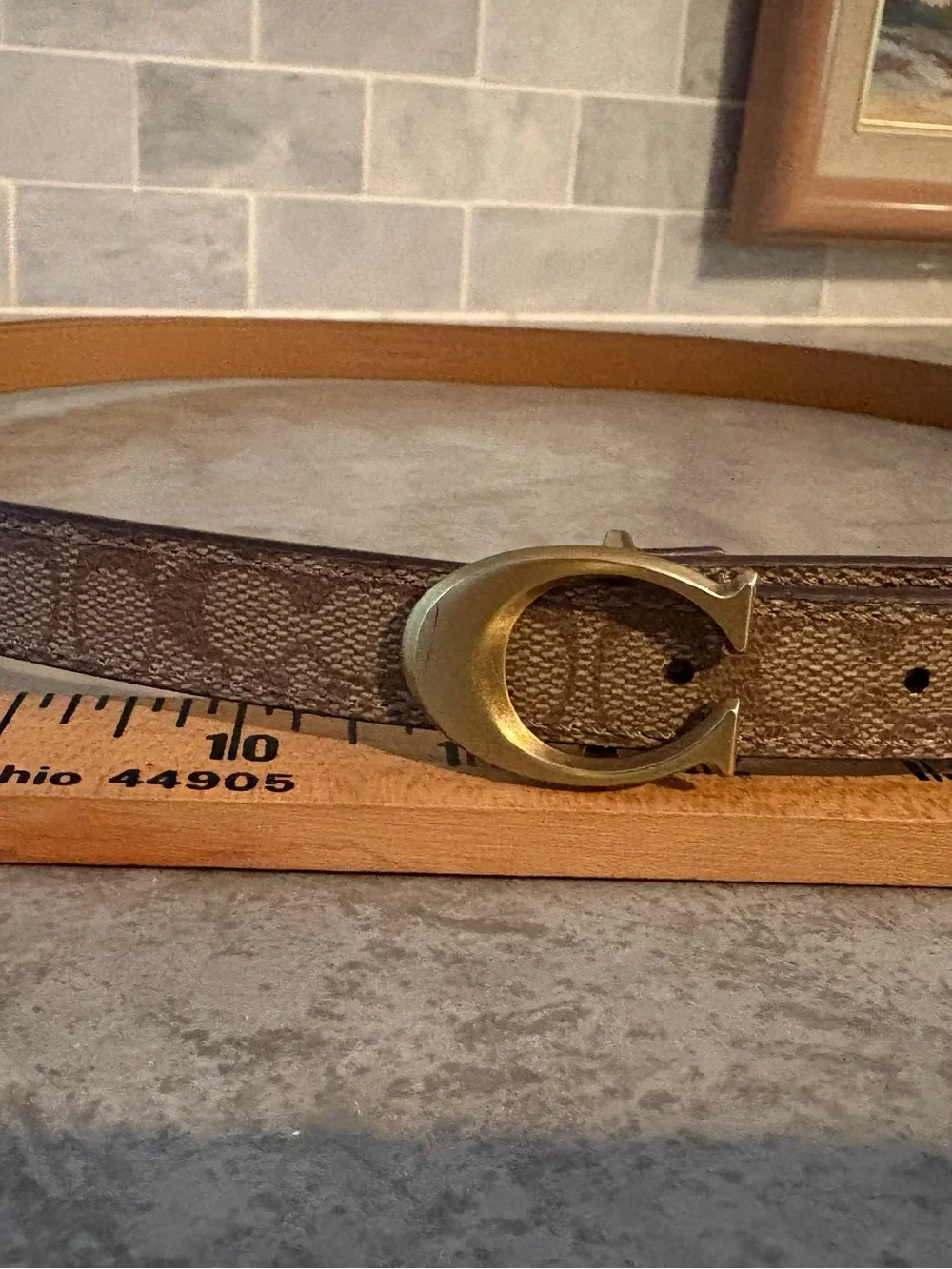 Coach Brown Signature Canvas Belt with Gold C Buckle XL